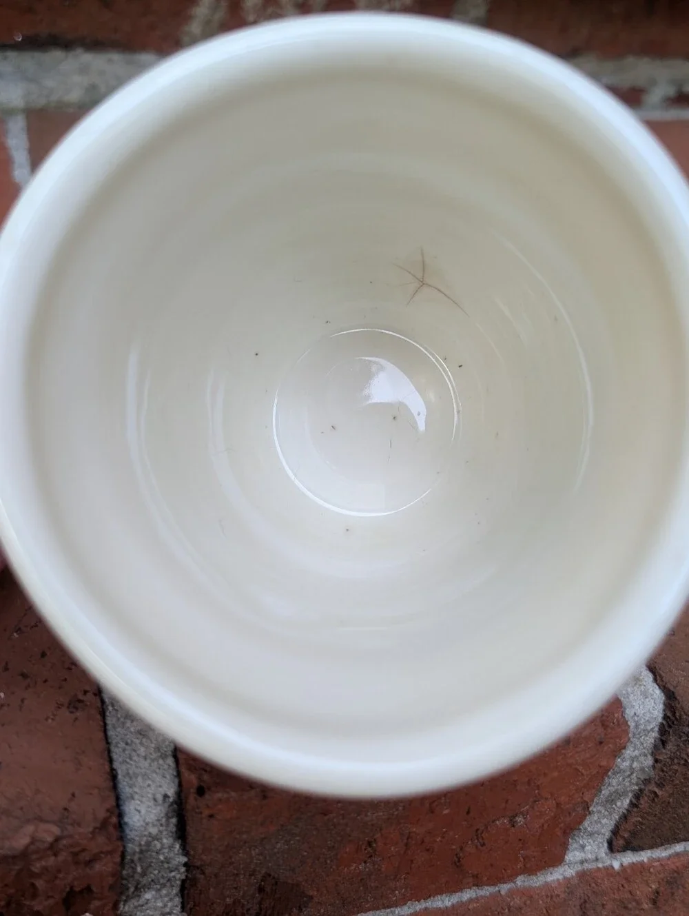 Pier 1 Hand Painted Ladybug Mug